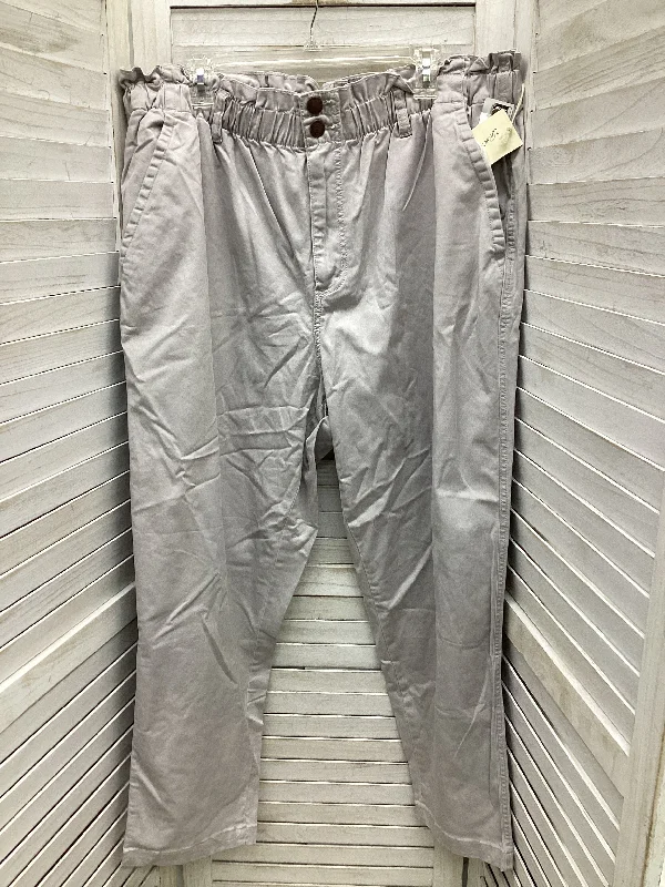 Pants Cargo & Utility By Universal Thread In Grey, Size: 20